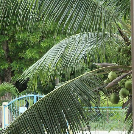 Maya Guest House - Sipaway Island San Carlos  外观 照片