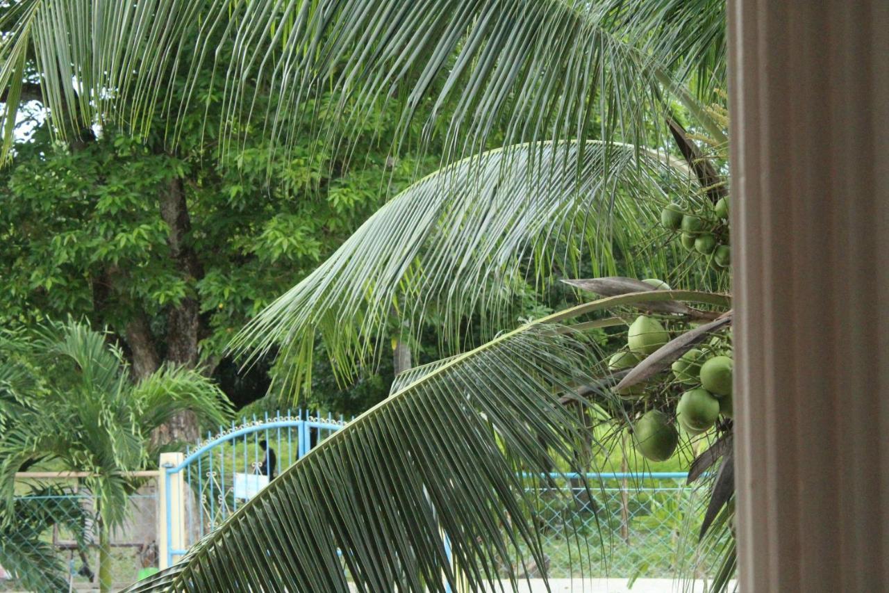Maya Guest House - Sipaway Island San Carlos  外观 照片
